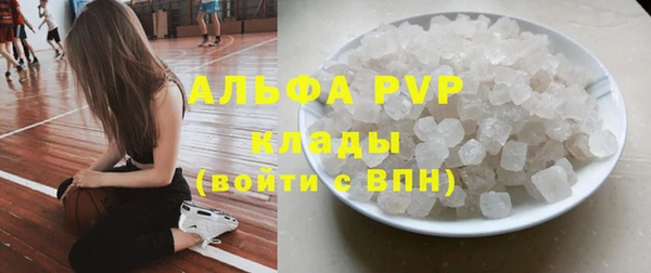 ГАЛЛЮЦИНОГЕННЫЕ ГРИБЫ Абаза