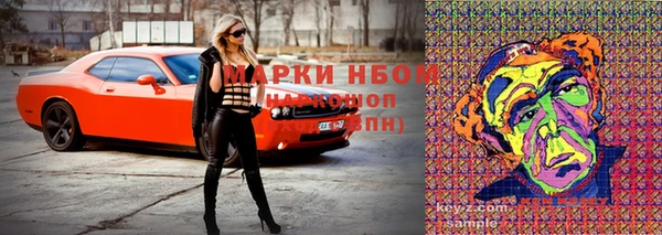 ГАЛЛЮЦИНОГЕННЫЕ ГРИБЫ Абаза