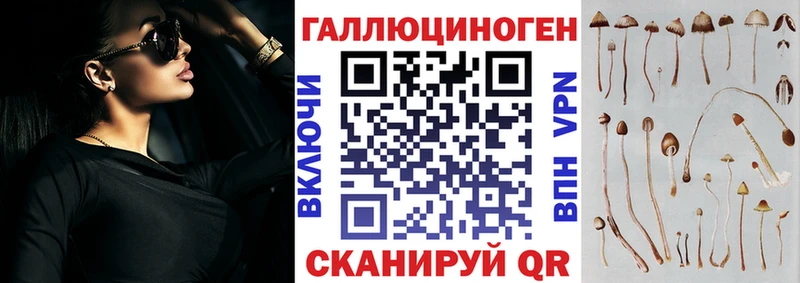 Галлюциногенные грибы Magic Shrooms  KRAKEN сайт  Тбилисская 